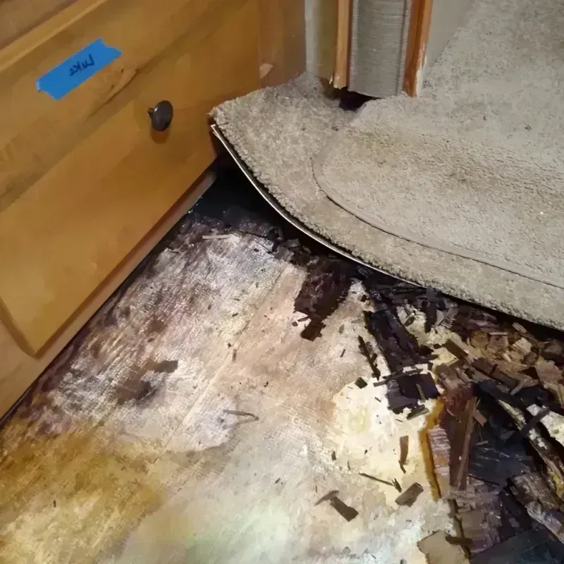 Wood Floor Water Damage in Lexington, SC